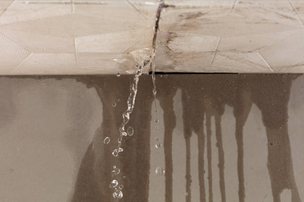 Professional Water Damage Inspection technician working in West Portsmouth, OH